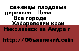 саженцы плодовых деревьев › Цена ­ 6 080 - Все города  »    . Хабаровский край,Николаевск-на-Амуре г.